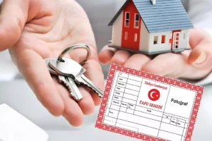 Tapular için yeni şart yürürlüğe girdi